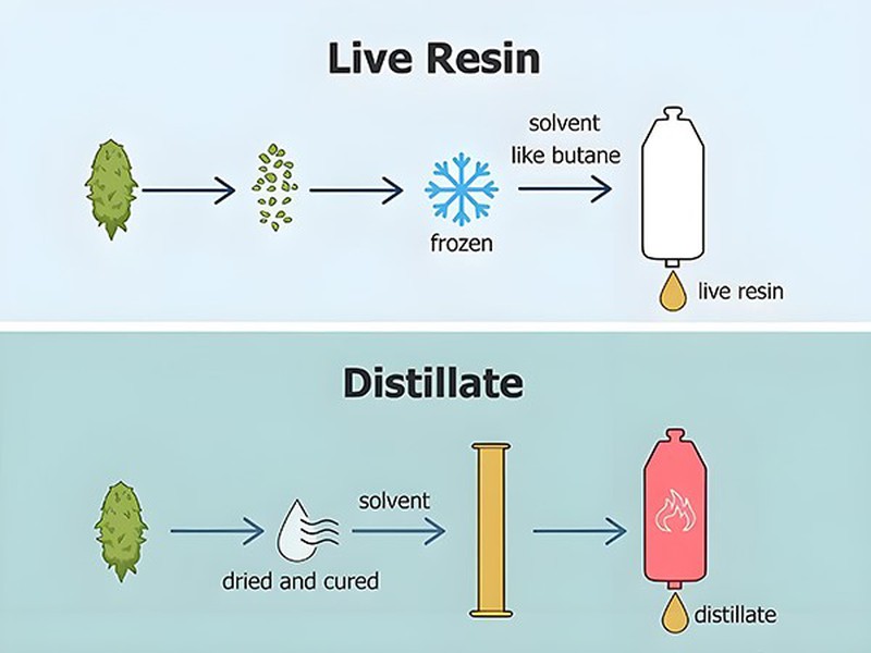 Distillate vs Live Resin Distillate vs Live Resin
