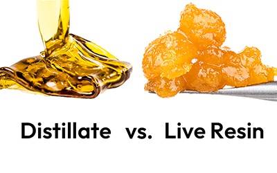 هل الراتنج الحي أفضل من نواتج التقطير؟